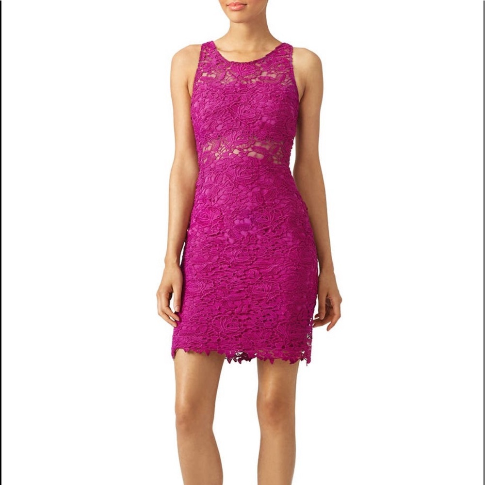 Monique Lhuillier mulberry lace sheath dress, sz 10